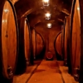 Wine tours Cortona